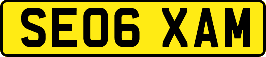 SE06XAM