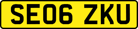 SE06ZKU