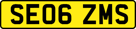 SE06ZMS