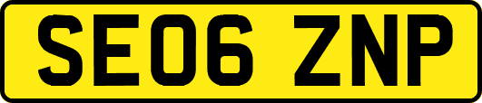 SE06ZNP
