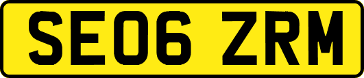 SE06ZRM