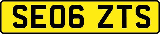 SE06ZTS