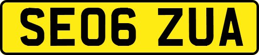 SE06ZUA