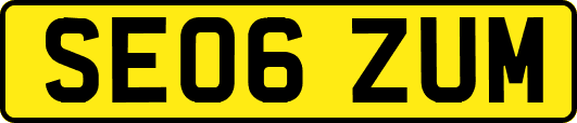 SE06ZUM