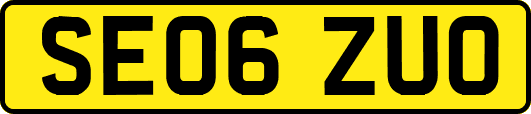 SE06ZUO