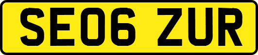 SE06ZUR