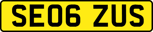 SE06ZUS