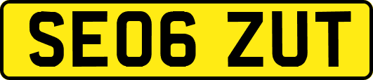 SE06ZUT