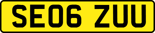 SE06ZUU