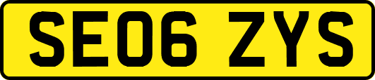 SE06ZYS