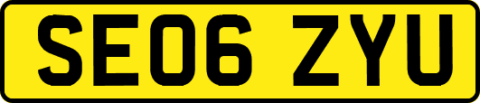 SE06ZYU