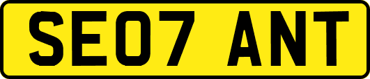 SE07ANT