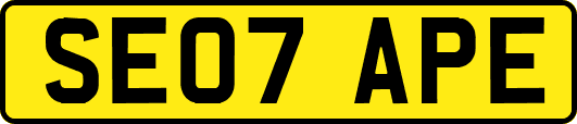SE07APE