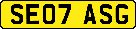 SE07ASG