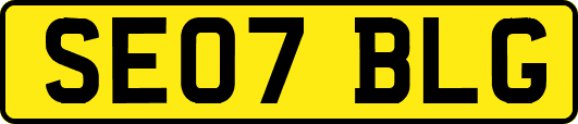 SE07BLG