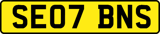 SE07BNS