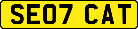 SE07CAT