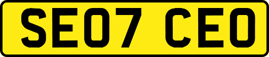 SE07CEO