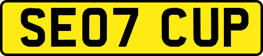 SE07CUP