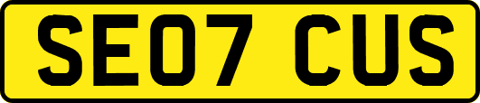 SE07CUS