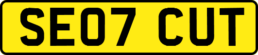 SE07CUT