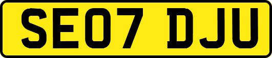 SE07DJU