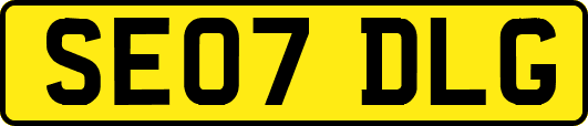 SE07DLG