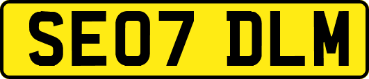 SE07DLM