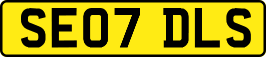 SE07DLS