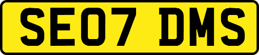 SE07DMS