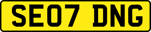 SE07DNG