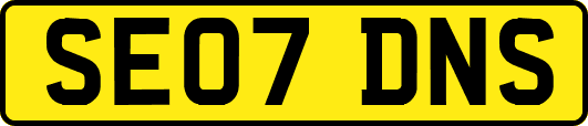 SE07DNS