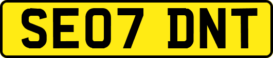SE07DNT