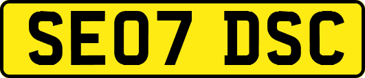 SE07DSC