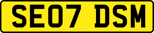 SE07DSM