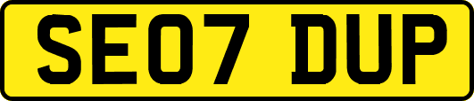 SE07DUP
