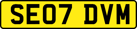 SE07DVM