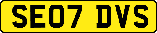 SE07DVS
