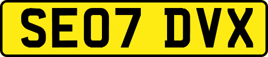 SE07DVX