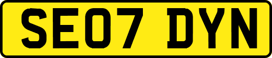 SE07DYN