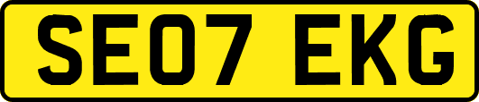 SE07EKG