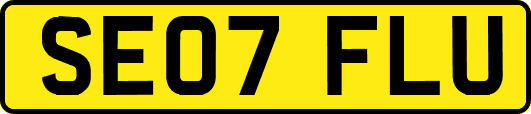 SE07FLU