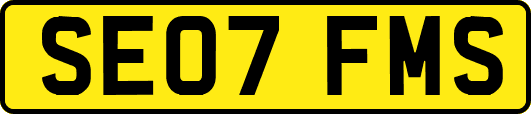 SE07FMS