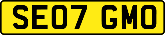SE07GMO