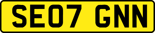 SE07GNN