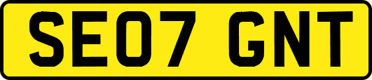 SE07GNT