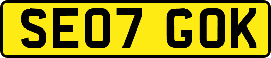 SE07GOK