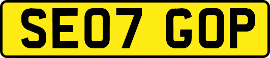 SE07GOP