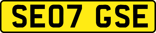 SE07GSE