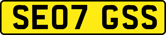 SE07GSS